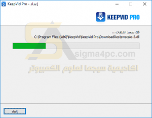 KeepVid Pro